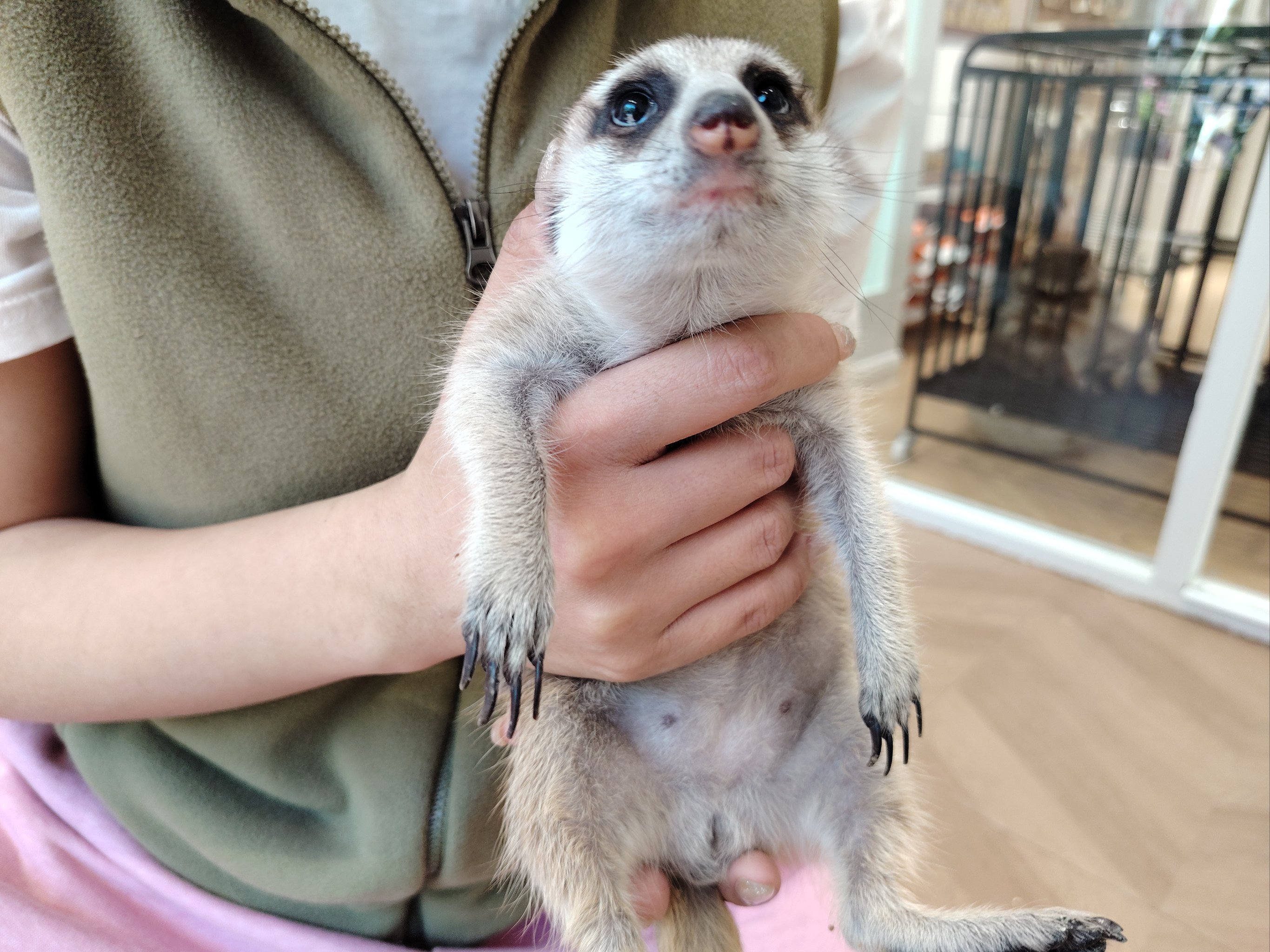 rly丶cestbongunin-乐鱼体育登录